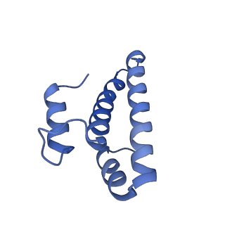 20121_6om6_t_v1-1
Structure of trans-translation inhibitor bound to E. coli 70S ribosome with P site tRNA
