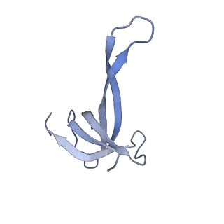 20121_6om6_v_v1-1
Structure of trans-translation inhibitor bound to E. coli 70S ribosome with P site tRNA