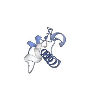 20121_6om6_w_v1-1
Structure of trans-translation inhibitor bound to E. coli 70S ribosome with P site tRNA