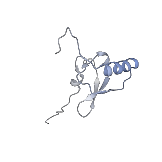 20121_6om6_x_v1-1
Structure of trans-translation inhibitor bound to E. coli 70S ribosome with P site tRNA