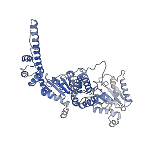 20124_6omb_A_v1-2
Cdc48 Hexamer (Subunits A to E) with substrate bound to the central pore