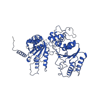20124_6omb_C_v1-2
Cdc48 Hexamer (Subunits A to E) with substrate bound to the central pore
