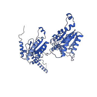 20124_6omb_D_v1-2
Cdc48 Hexamer (Subunits A to E) with substrate bound to the central pore