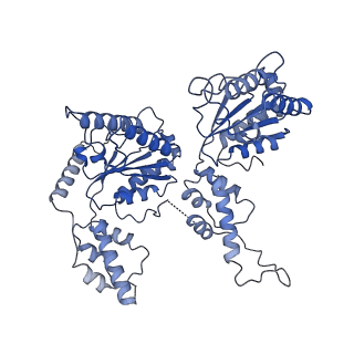 20124_6omb_E_v1-2
Cdc48 Hexamer (Subunits A to E) with substrate bound to the central pore