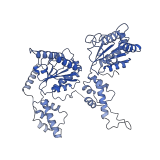 20124_6omb_E_v1-3
Cdc48 Hexamer (Subunits A to E) with substrate bound to the central pore