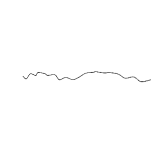 20124_6omb_G_v1-3
Cdc48 Hexamer (Subunits A to E) with substrate bound to the central pore