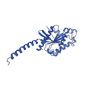 20126_6omm_A_v1-0
Cryo-EM structure of formyl peptide receptor 2/lipoxin A4 receptor in complex with Gi