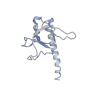 20132_6omv_A_v1-2
CryoEM structure of the LbCas12a-crRNA-AcrVA4-DNA complex