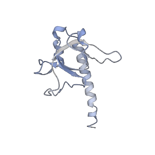 20132_6omv_A_v1-3
CryoEM structure of the LbCas12a-crRNA-AcrVA4-DNA complex