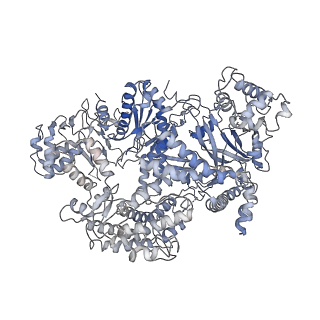 20132_6omv_B_v1-2
CryoEM structure of the LbCas12a-crRNA-AcrVA4-DNA complex