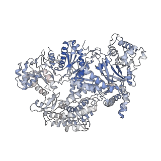 20132_6omv_B_v1-3
CryoEM structure of the LbCas12a-crRNA-AcrVA4-DNA complex