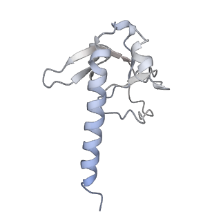 20132_6omv_C_v1-2
CryoEM structure of the LbCas12a-crRNA-AcrVA4-DNA complex