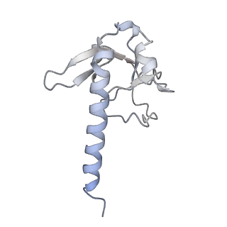 20132_6omv_C_v1-3
CryoEM structure of the LbCas12a-crRNA-AcrVA4-DNA complex