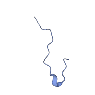 12993_7on1_C_v1-0
Cenp-A nucleosome in complex with Cenp-C