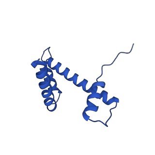 12993_7on1_d_v1-0
Cenp-A nucleosome in complex with Cenp-C