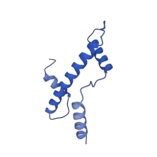 12993_7on1_e_v1-0
Cenp-A nucleosome in complex with Cenp-C