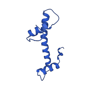 12993_7on1_f_v1-0
Cenp-A nucleosome in complex with Cenp-C
