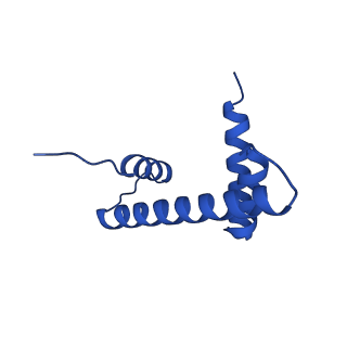 12993_7on1_h_v1-0
Cenp-A nucleosome in complex with Cenp-C