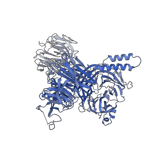 12994_7onb_A_v1-0
Structure of the U2 5' module of the A3'-SSA complex