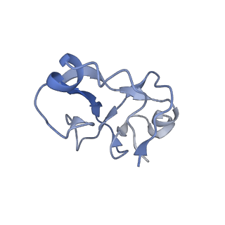 12994_7onb_D_v1-0
Structure of the U2 5' module of the A3'-SSA complex