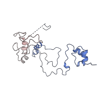 12994_7onb_I_v1-0
Structure of the U2 5' module of the A3'-SSA complex