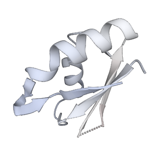 12994_7onb_K_v1-0
Structure of the U2 5' module of the A3'-SSA complex