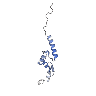 12994_7onb_N_v1-0
Structure of the U2 5' module of the A3'-SSA complex