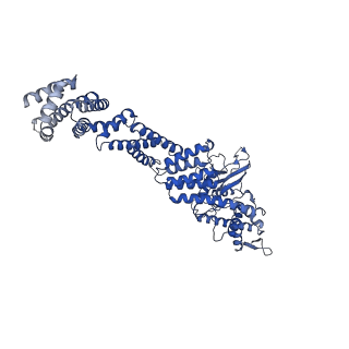 12995_7oni_C_v1-2
Structure of Neddylated CUL5 C-terminal region-RBX2-ARIH2*