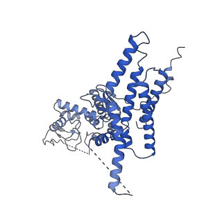12995_7oni_H_v1-2
Structure of Neddylated CUL5 C-terminal region-RBX2-ARIH2*