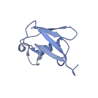 12995_7oni_N_v1-2
Structure of Neddylated CUL5 C-terminal region-RBX2-ARIH2*