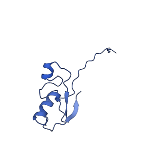 12995_7oni_R_v1-2
Structure of Neddylated CUL5 C-terminal region-RBX2-ARIH2*