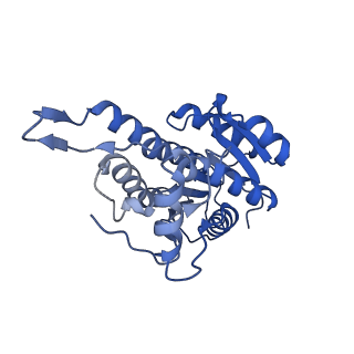 13002_7onu_B_v1-1
Structure of human mitochondrial RNase P in complex with mitochondrial pre-tRNA-Tyr