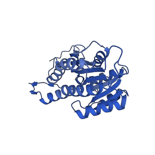 13002_7onu_C_v1-1
Structure of human mitochondrial RNase P in complex with mitochondrial pre-tRNA-Tyr