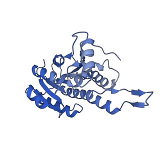 13002_7onu_D_v1-1
Structure of human mitochondrial RNase P in complex with mitochondrial pre-tRNA-Tyr