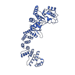 13002_7onu_E_v1-1
Structure of human mitochondrial RNase P in complex with mitochondrial pre-tRNA-Tyr