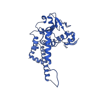 13002_7onu_F_v1-1
Structure of human mitochondrial RNase P in complex with mitochondrial pre-tRNA-Tyr