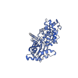 16982_8on8_A_v1-1
Apo Malacoceros FaNaC1 in lipid nanodiscs