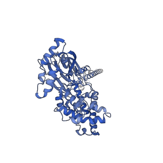 16982_8on8_B_v1-1
Apo Malacoceros FaNaC1 in lipid nanodiscs