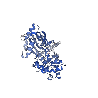 16984_8ona_B_v1-1
FMRFa-bound Malacoceros FaNaC1 in lipid nanodiscs in presence of diminazene