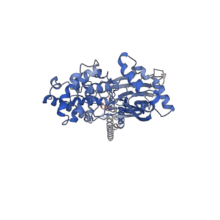 16984_8ona_C_v1-1
FMRFa-bound Malacoceros FaNaC1 in lipid nanodiscs in presence of diminazene