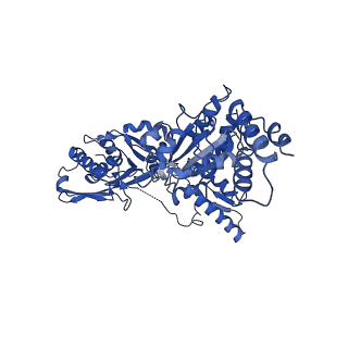 20133_6on2_D_v1-2
Lon Protease from Yersinia pestis with Y2853 substrate