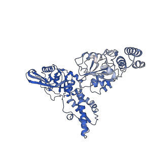 20133_6on2_E_v1-3
Lon Protease from Yersinia pestis with Y2853 substrate