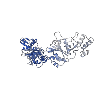 20133_6on2_F_v1-2
Lon Protease from Yersinia pestis with Y2853 substrate