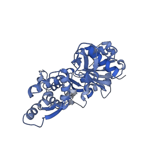 3835_5onv_A_v1-1
Cryo-EM structure of F-actin in complex with ADP