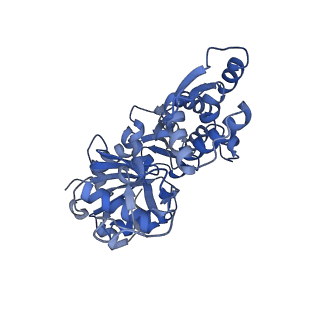 3835_5onv_B_v1-1
Cryo-EM structure of F-actin in complex with ADP