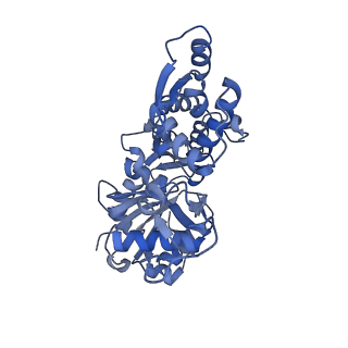 3835_5onv_D_v1-1
Cryo-EM structure of F-actin in complex with ADP