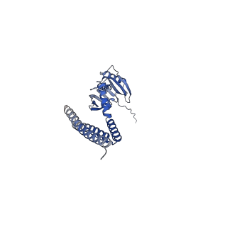13006_7oo6_E_v1-0
Mechanosensitive channel MscS solubilized with DDM in closed conformation with added lipid