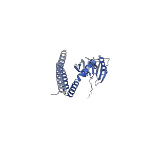 13006_7oo6_F_v1-0
Mechanosensitive channel MscS solubilized with DDM in closed conformation with added lipid