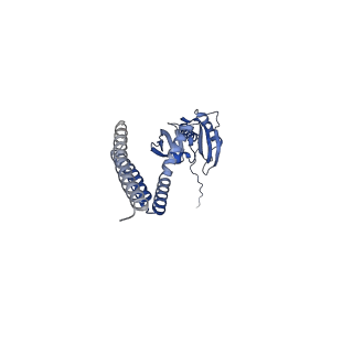 13007_7oo8_F_v1-0
Mechanosensitive channel MscS solubilized with LMNG in closed conformation with added lipid