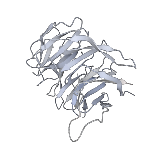 17004_8oo0_A_v1-0
Chaetomium thermophilum Methionine Aminopeptidase 2 autoproteolysis product at the 80S ribosome